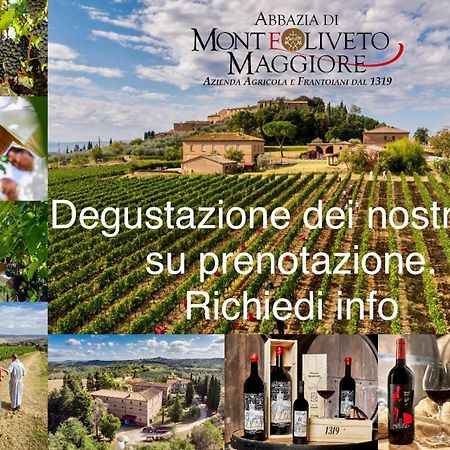 Agriturismo Monte Oliveto Maggiore, Podere LE PIAZZE Chiusure Esterno foto