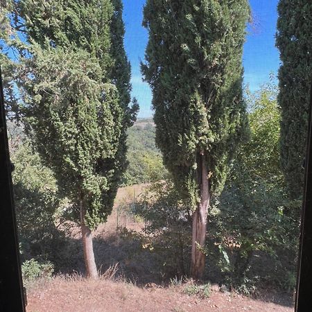 Agriturismo Monte Oliveto Maggiore, Podere LE PIAZZE Chiusure Esterno foto